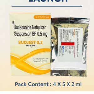 BUDJEST 0.5